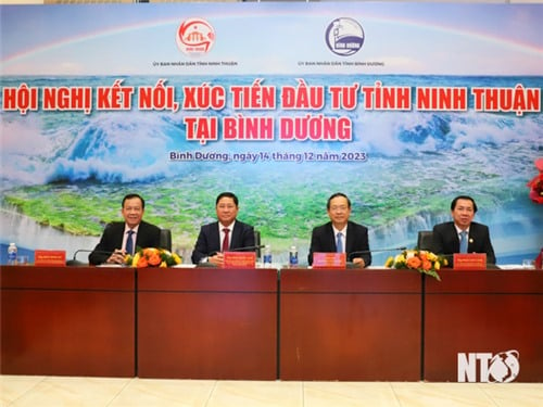 Conference on connecting and promoting investment in Ninh Thuan province in Binh Duong