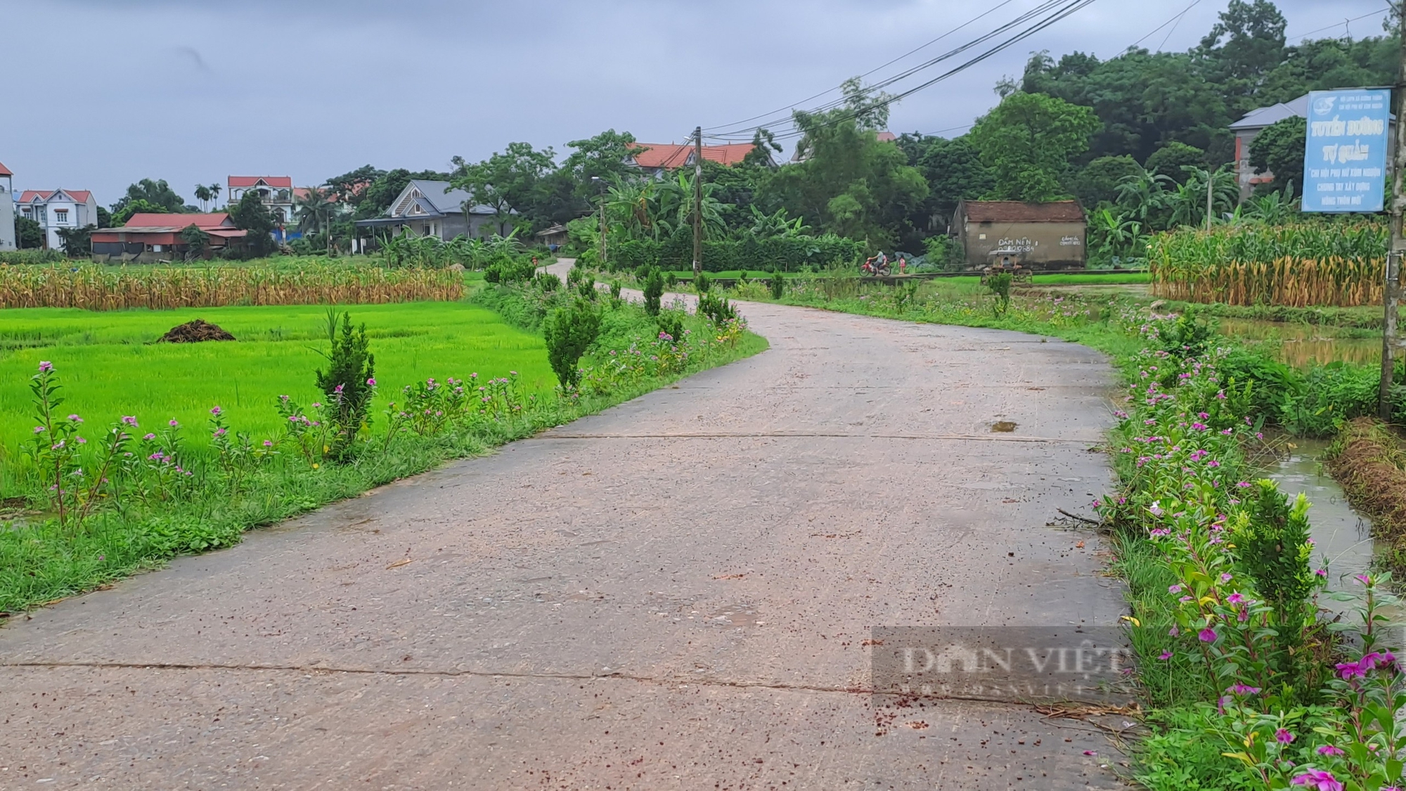 Thái Nguyên: Nông thôn mới ở huyện Phú Bình lan tỏa mô hình “nhà 3 sạch