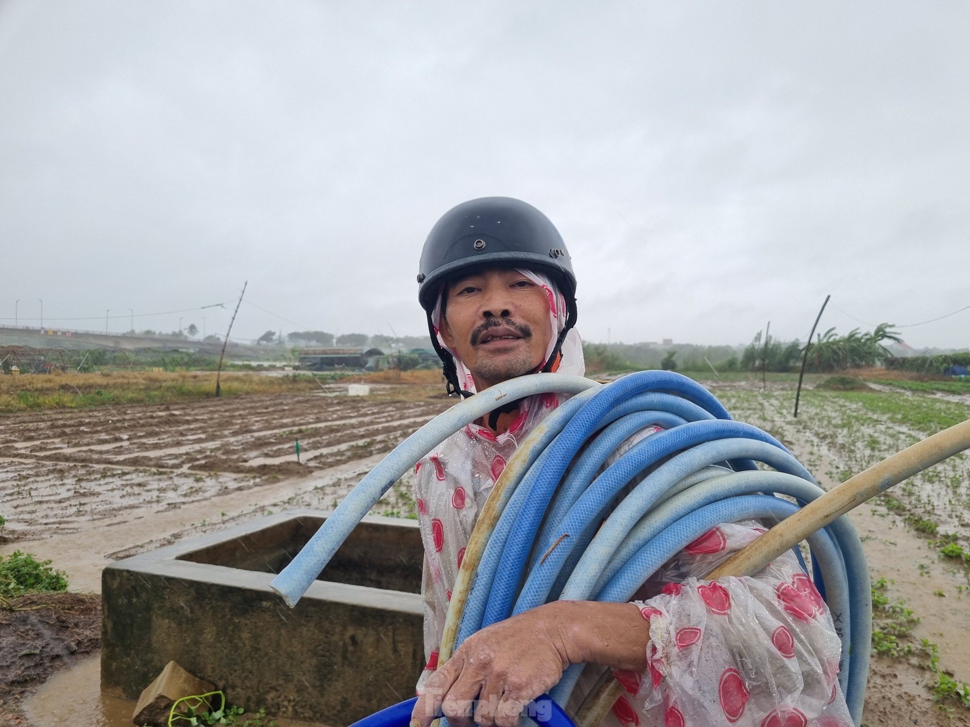 Nach anhaltendem Regen steht das größte Gemüseanbaugebiet in Da Nang unter Wasser. „Die Menschen können nicht rechtzeitig reagieren“, Foto 12.