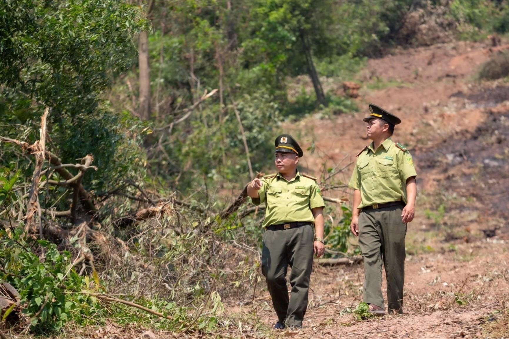 Hai Duong hat die Waldbrandprävention „aufgelöst“