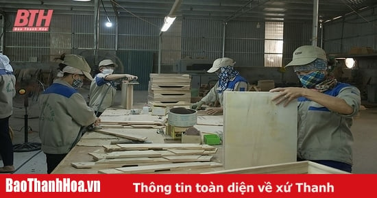 Nỗ lực thành lập doanh nghiệp mới