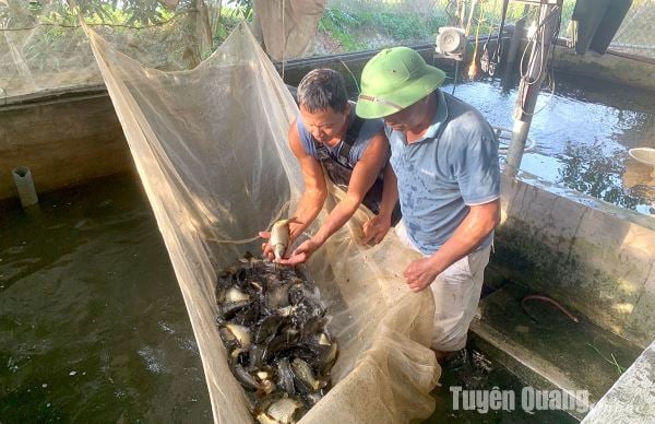 Restaurando la acuicultura