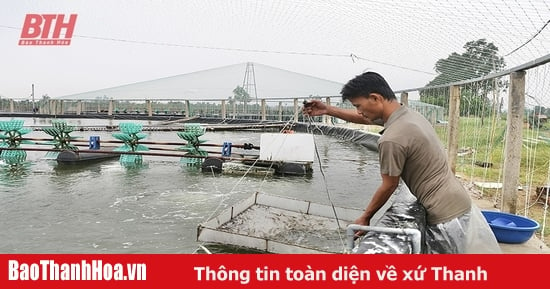 Quang Nham commune develops marine economy