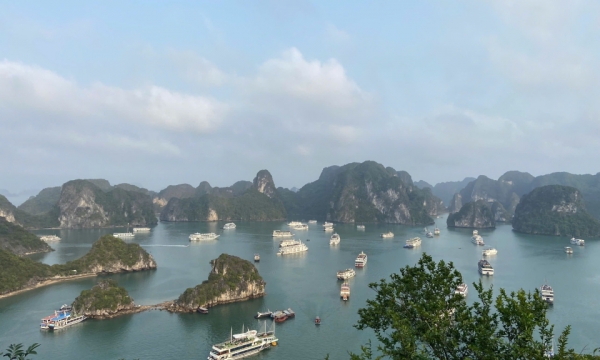 Unissons nos efforts pour gérer, protéger et promouvoir la valeur patrimoniale de la baie d'Ha Long