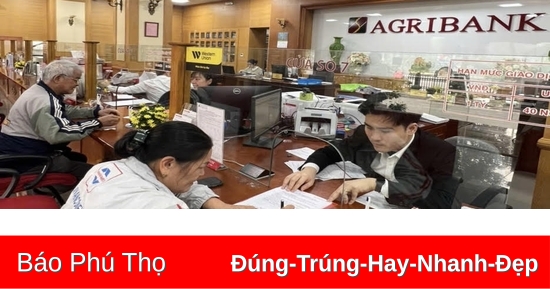 Agribank Chi nhánh tỉnh Phú Thọ tập trung các giải pháp tăng trưởng tín dụng