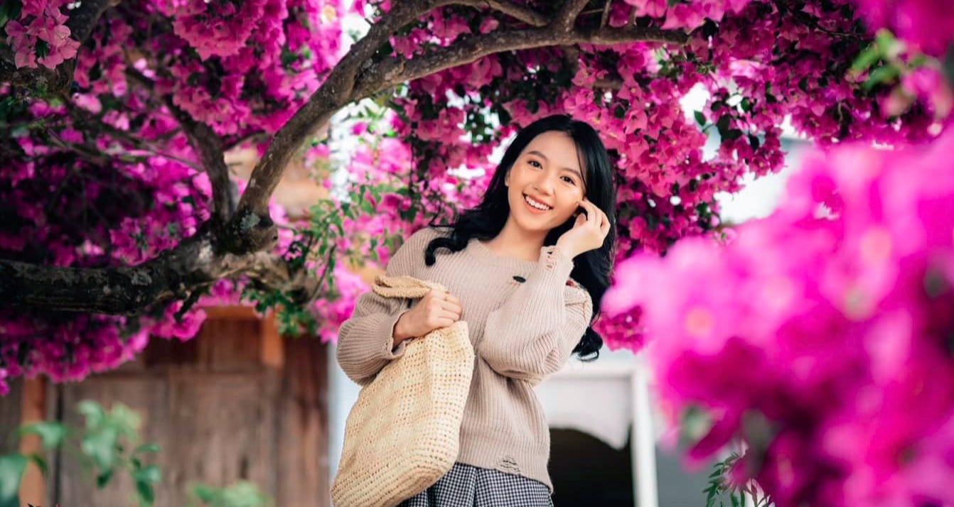 35-year-old bougainvillea tree lights up the yard in bright pink, visitors come to take photos with "thousands of likes"