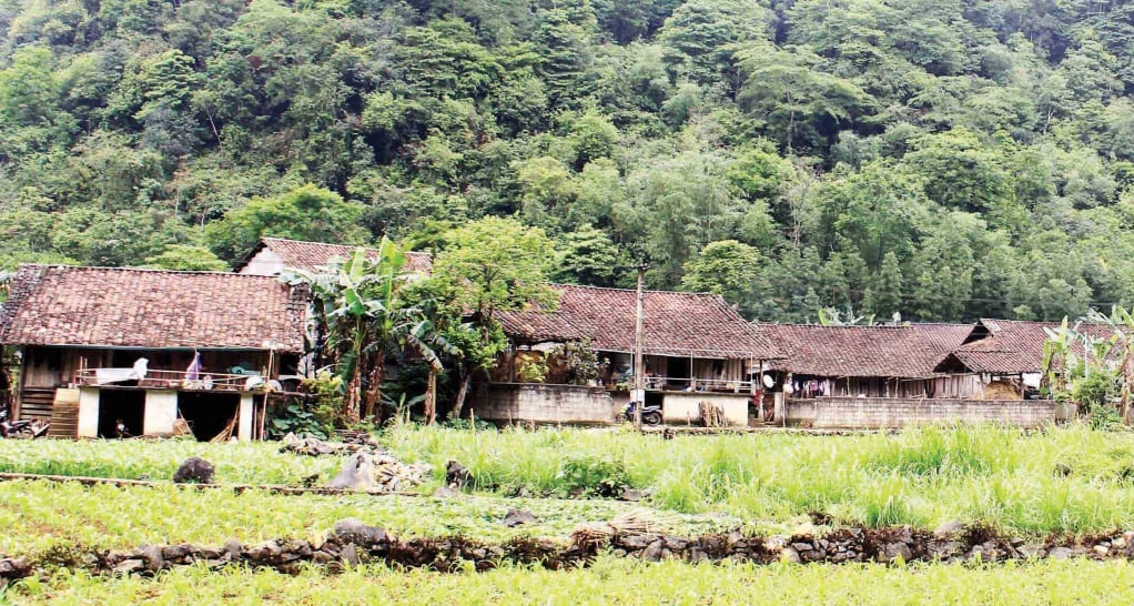 Dia Tren Hamlet, Phuc Sen Commune (Quang Hoa) is a place that still preserves many stilt houses.