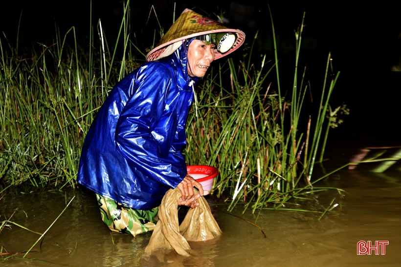 Beobachten Sie, wie die Menschen in Ha Tinh Regenwürmer ernten und jede Nacht Millionen verdienen