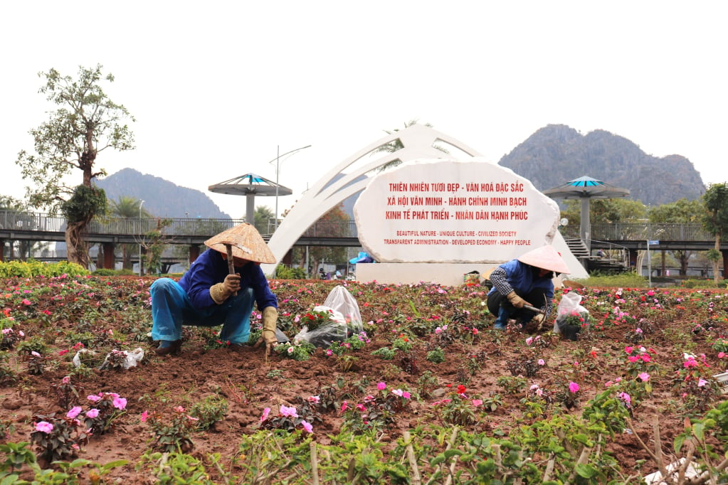 Công viên hoa Hạ Long được chỉnh trang, trồng nhiều loại hoa để người dân và du khách đến tham quan, chụp ảnh.