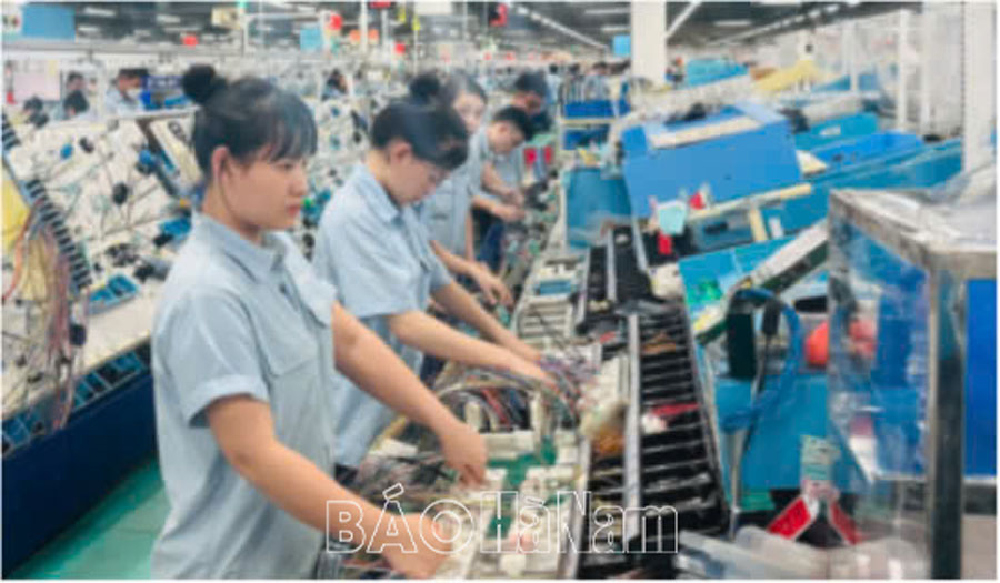 Japan is the country with the second largest number of investors in Ha Nam.