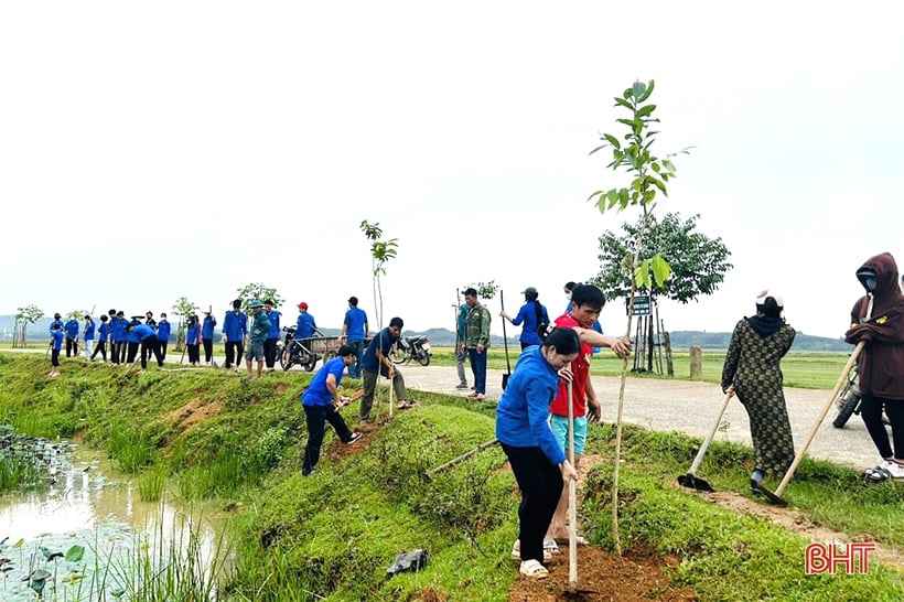 สมาชิกสหภาพเยาวชนห่าติ๋ญกว่า 4,000 คนตอบรับกิจกรรมวันอาทิตย์สีเขียวครั้งที่ 4