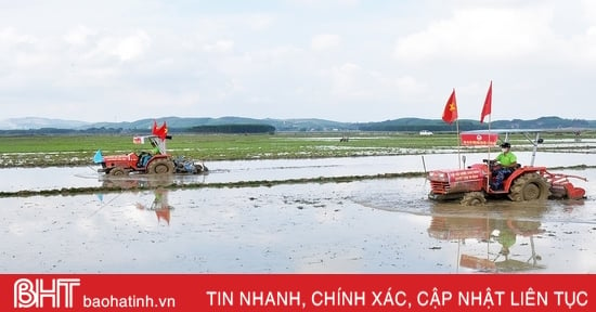 Xem nông dân Hương Khê tranh tài cày ruộng