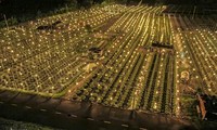 Hermosa escena brillante en el pueblo de flores más grande de Da Nang durante la temporada del Tet