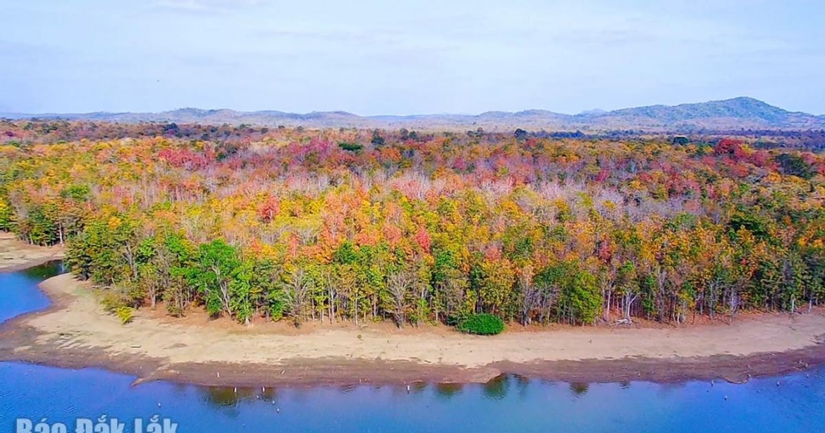 El colorido bosque de Yok Don