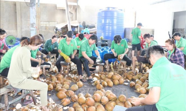 Nueva marca en la exportación de frutas y verduras de Vietnam