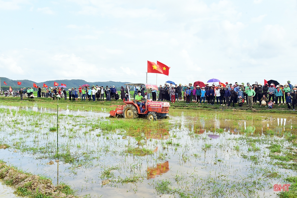 មើលកសិករ Huong Khe ប្រកួតប្រជែងភ្ជួរ