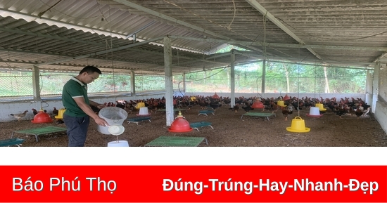 Giúp nông dân phát triển kinh tế