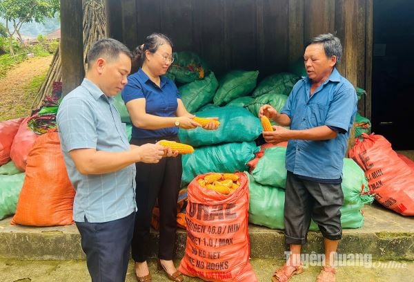 Cán bộ nữ tham gia cấp ủy cơ sở: Tăng cả chất và lượng