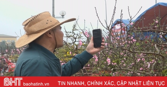 Thị trường hoa, cây cảnh ế ẩm, nhiều tiểu thương phải livestream bán hàng