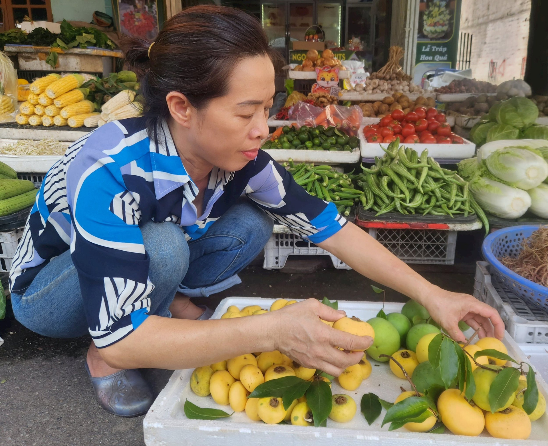 Der Sternapfel „Miss Tam“ steht in der Hai Duong Straße und wird von vielen Menschen zum Kauf ausgewählt