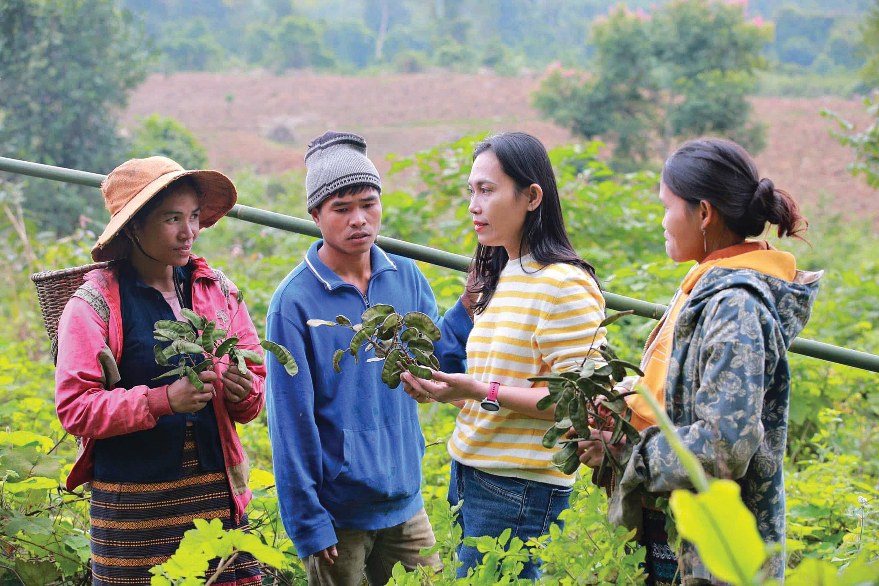 Sản phẩm OCOP kể chuyện