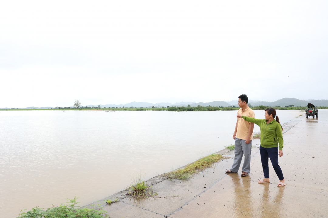 More than 4,500 hectares of crops flooded due to heavy rain