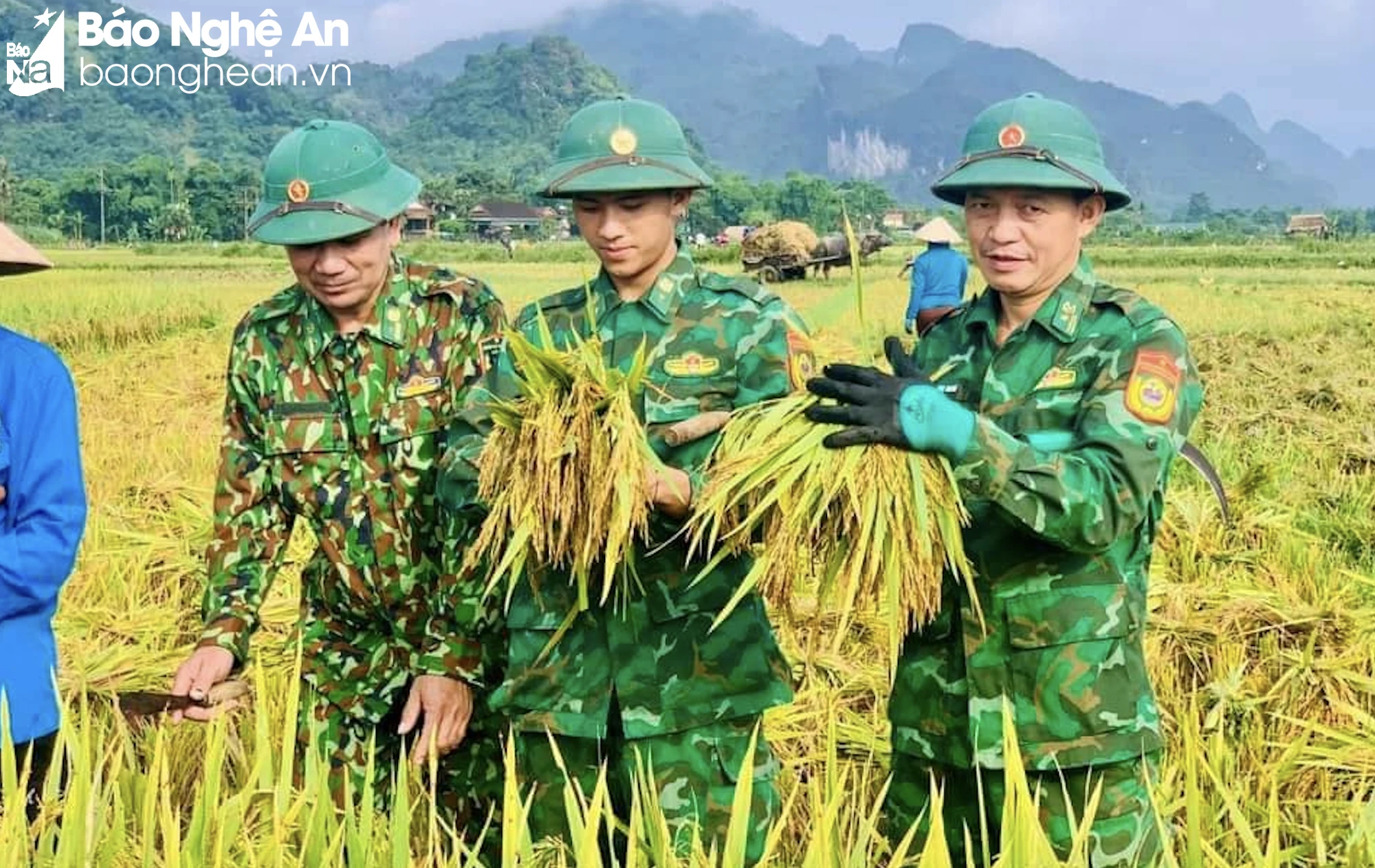 Ảnh màn hình 2024-05-16 lúc 09.29.29.png