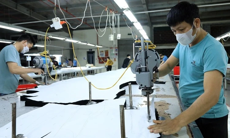 ADB raises Vietnam's growth forecast