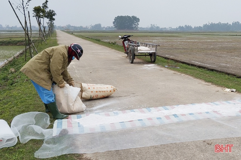 Phong tỏa nguồn lây, tập trung khống chế bệnh viêm da nổi cục trên trâu bò