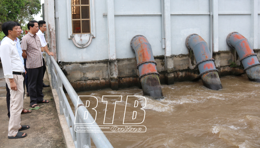 Quynh Phu : Miser sur le drainage pour protéger le riz et les légumes