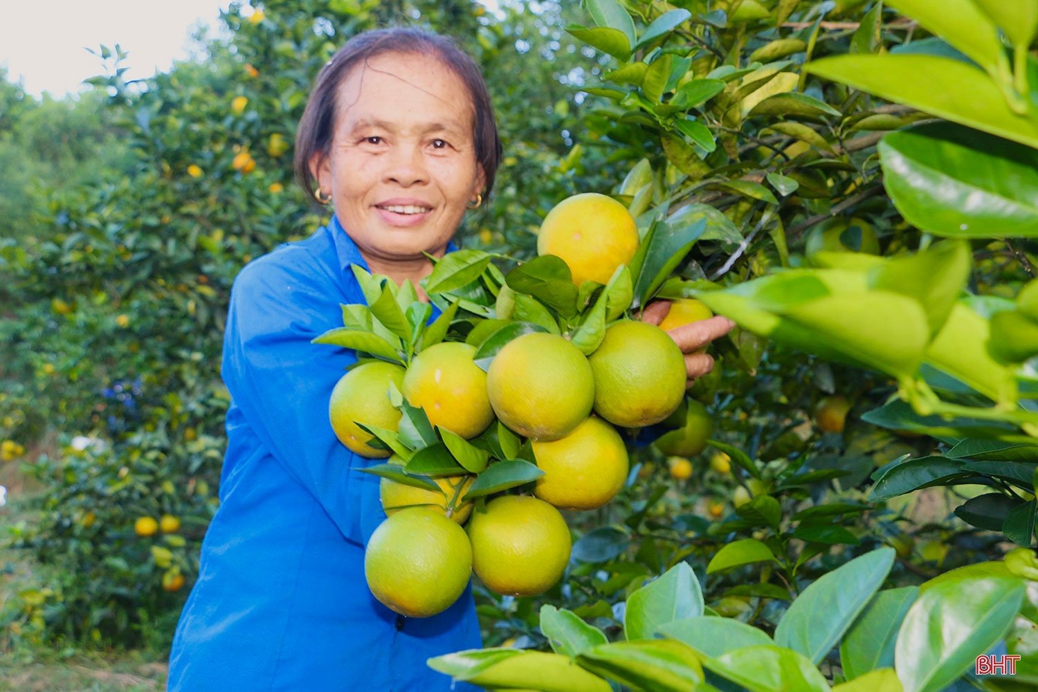 “Không có những người như thế sẽ khó xây dựng được nông thôn mới”