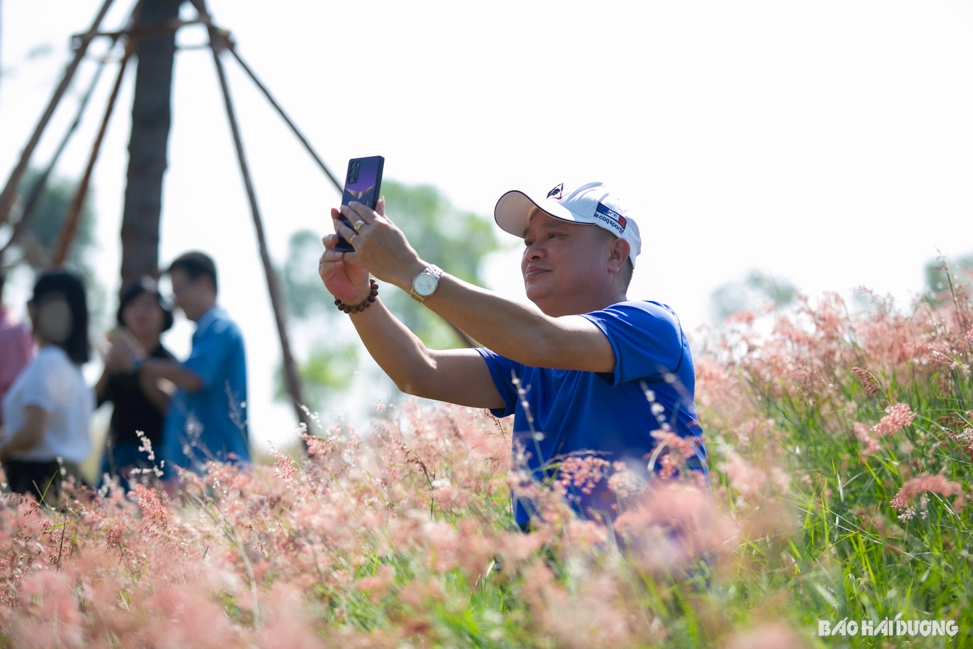 the-red-flower-chi-linh.jpg