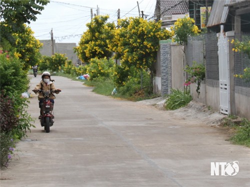 កសាងជនបទថ្មីនៅឃុំមាត់សមុទ្រ Thanh Hai