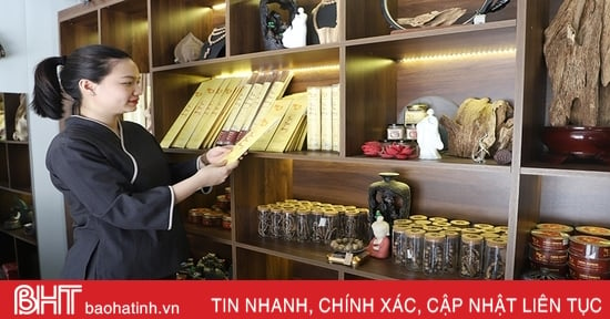 Driving force for rural industrial development in Ha Tinh