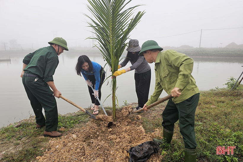 La ciudad de Ha Tinh plantó cerca de 5.000 cocoteros en el área ecológica de Dong Ghe.