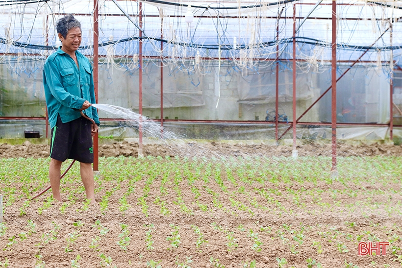 Luu Vinh Son flower village is busy during Tet season