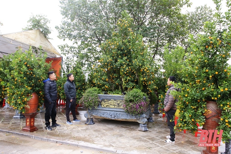 La ciudad de Thanh Hoa organiza puntos de venta de flores, plantas ornamentales y decoración para el Año Nuevo Lunar 2025