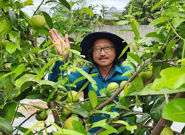 Close-up kebun buah 'unik' di Binh Duong foto 1