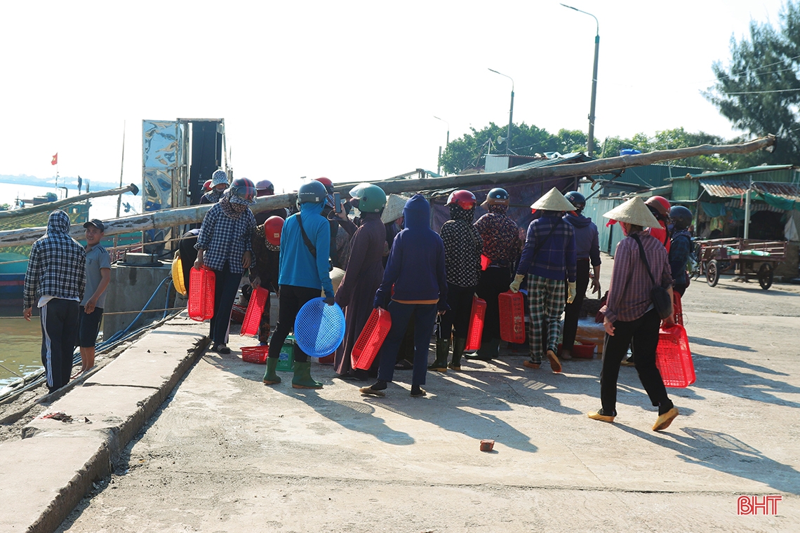 Las instalaciones de procesamiento de mariscos en Ha Tinh están ocupadas 