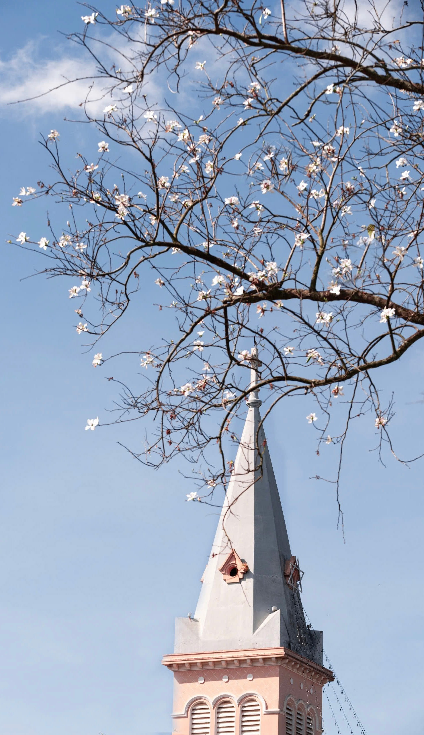 Chicken Church versteckt hinter den weißen Blumen