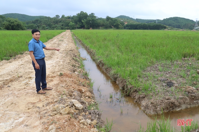 Hương Sơn đẩy nhanh tiến độ tích tụ ruộng đất