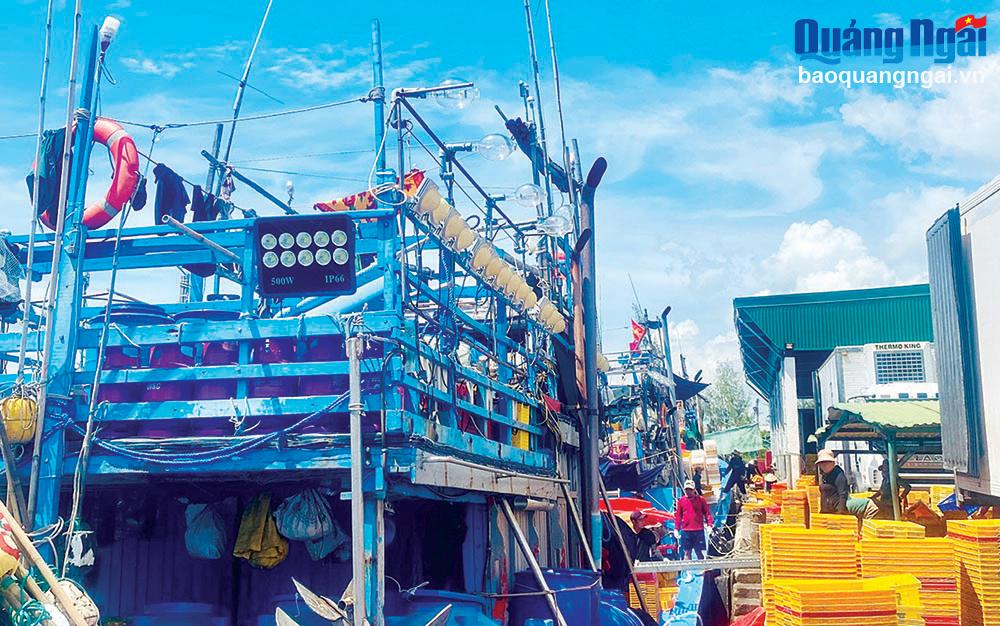 Muchos barcos pesqueros han aplicado la tecnología LED en la explotación de marisco, contribuyendo al ahorro de combustible y limitando la contaminación ambiental.