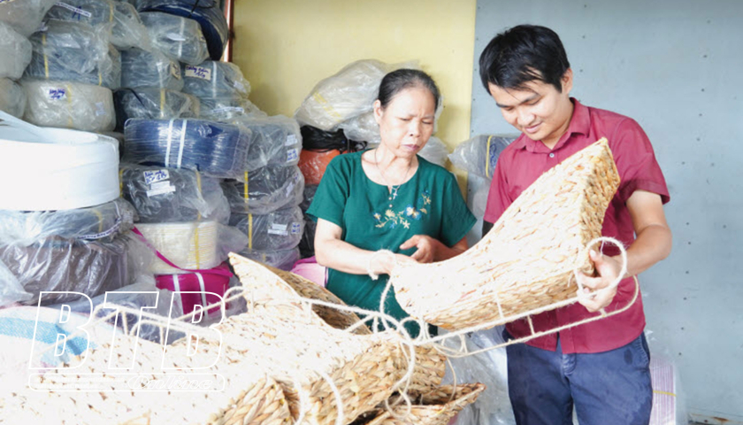 Thai Thuy: OCOP products contribute to rural economic development