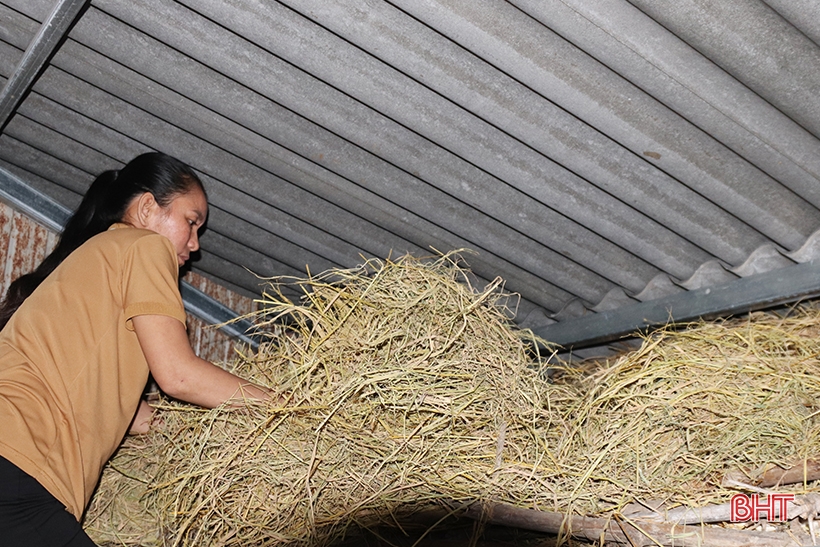 Người dân vùng lũ Vũ Quang chủ động ứng phó với mưa lớn