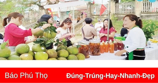 Phát triển cây bưởi bền vững