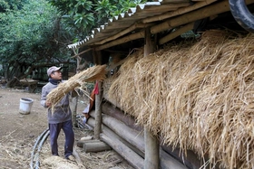 Bắc Bộ tiếp tục rét đậm, vùng núi rét hại, có nơi xuống dưới 5 độ C