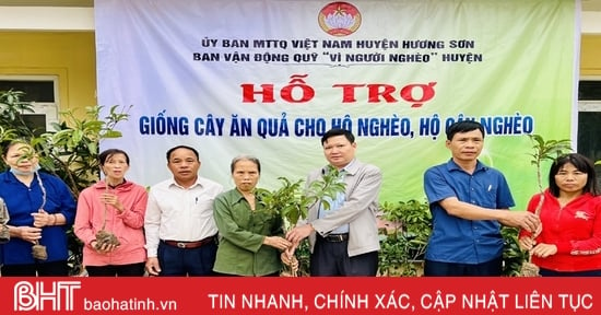 Hương Sơn hỗ trợ 2.747 giống cây ăn quả cho người dân