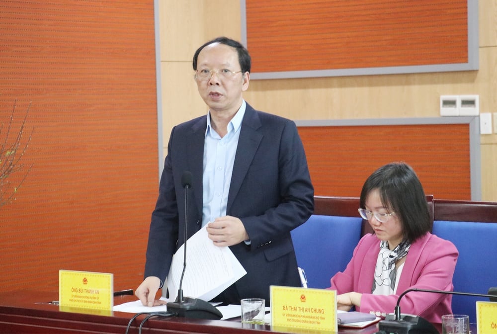 Comrade Bui Thanh An - Member of the Provincial Party Committee, Vice Chairman of the Provincial People's Committee spoke at the meeting.