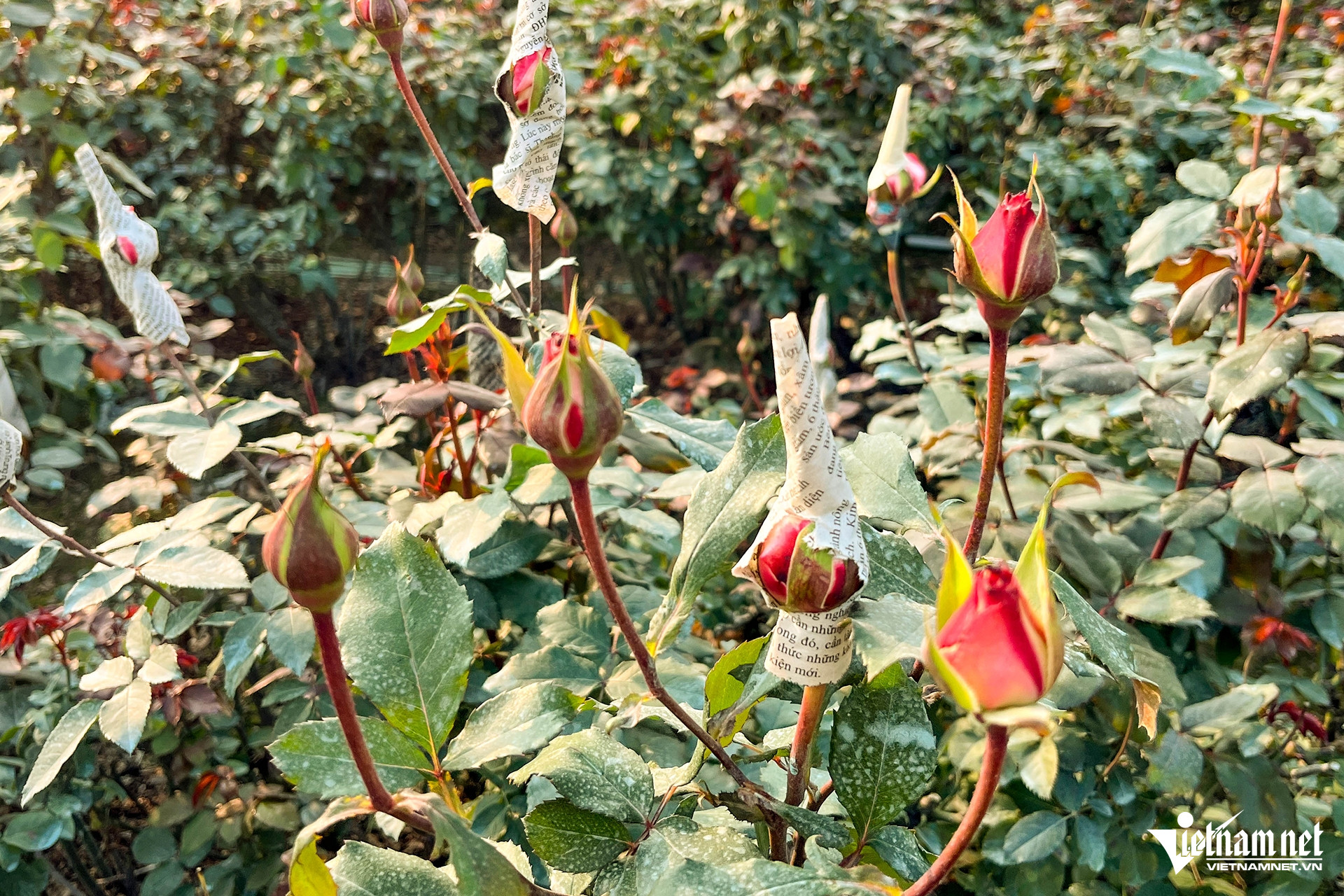 W-Photo 9 (1).jpg