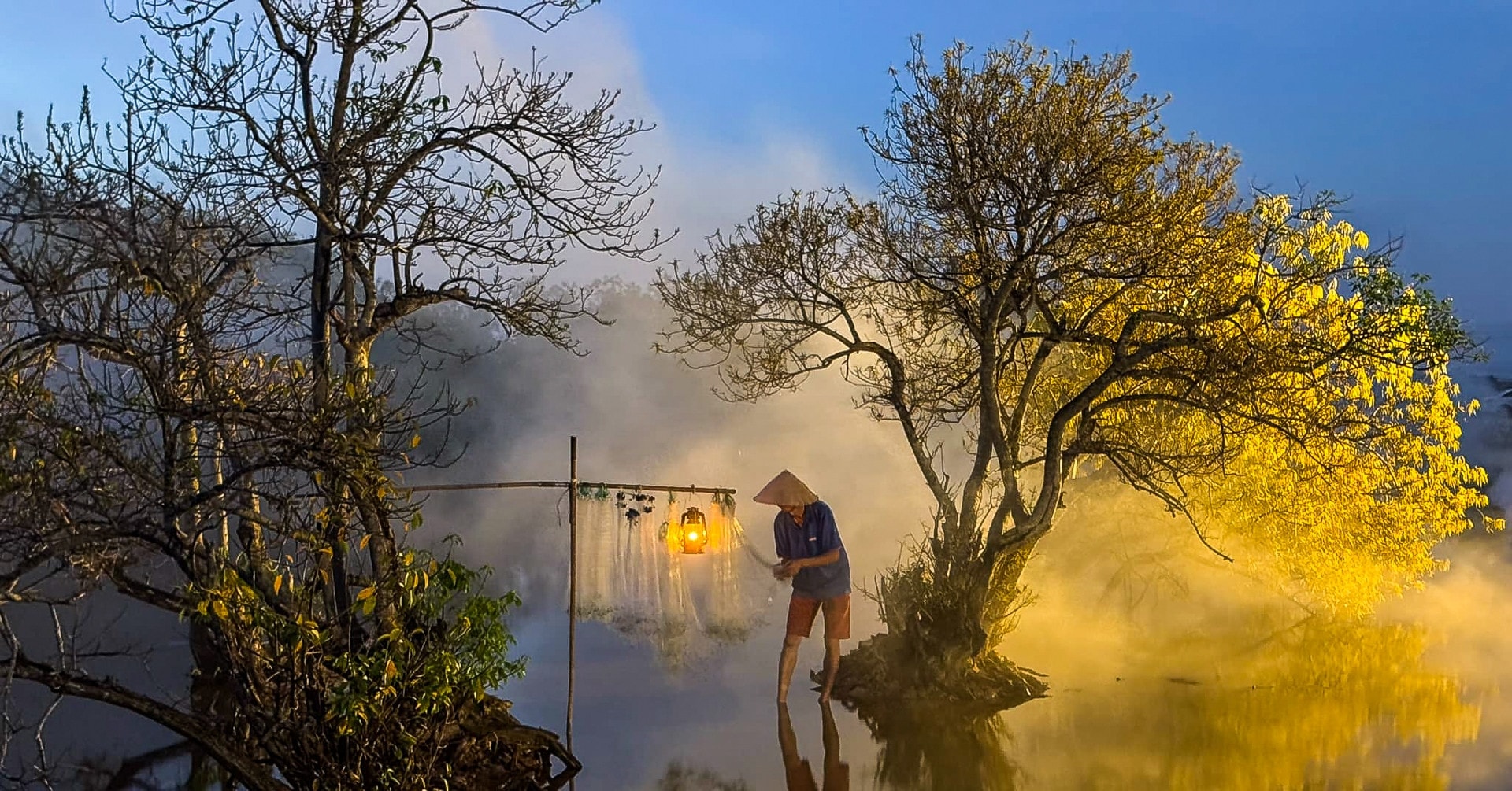 Rừng ngập mặn Rú Chá chuyển màu vàng ươm, đẹp như ở trời Âu